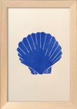 Le Coquillage - Outremer - Format A5