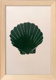 Le Coquillage - Vert - Format A5